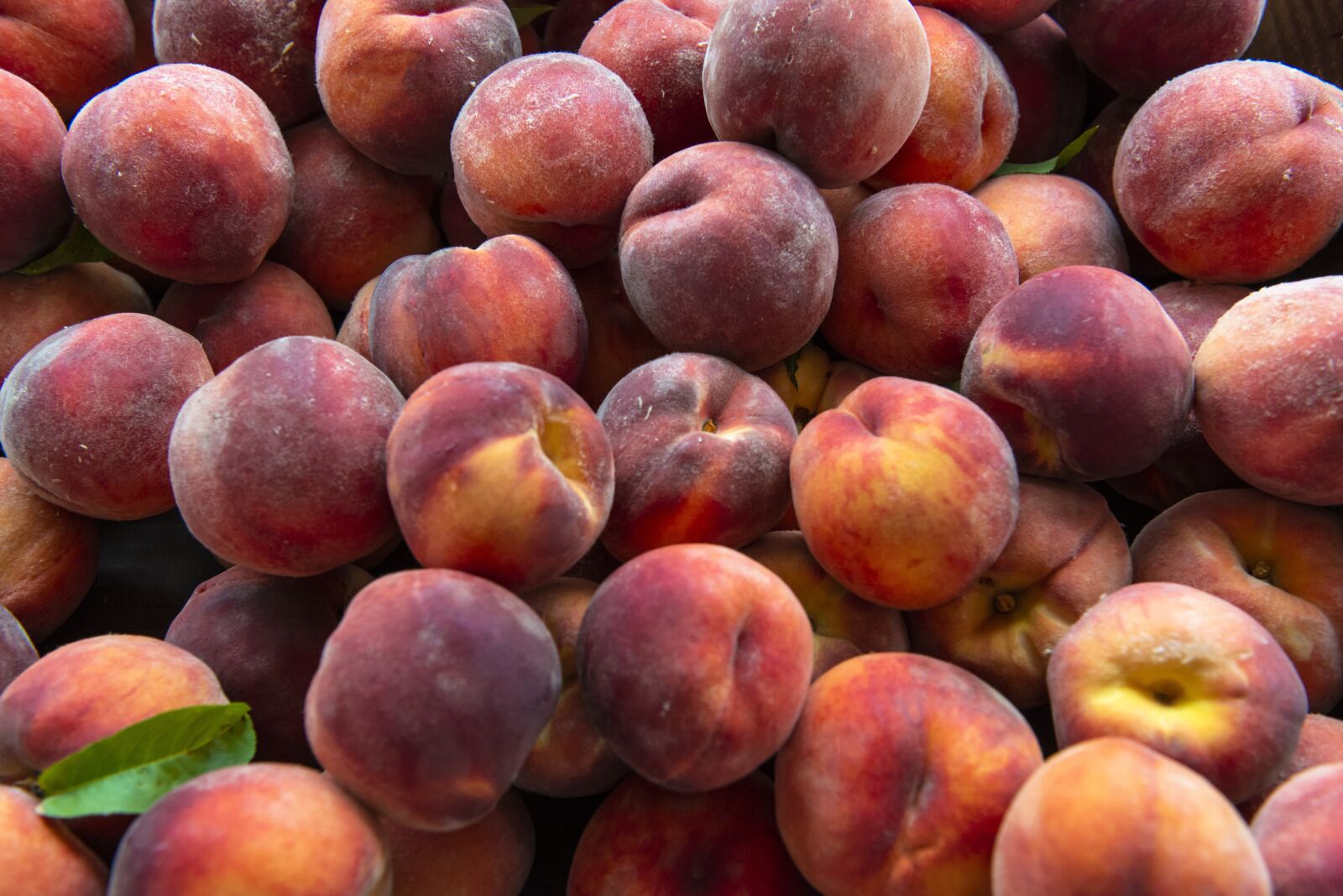 Nikon D800 sample photo. Peaches, fruits, food photography
