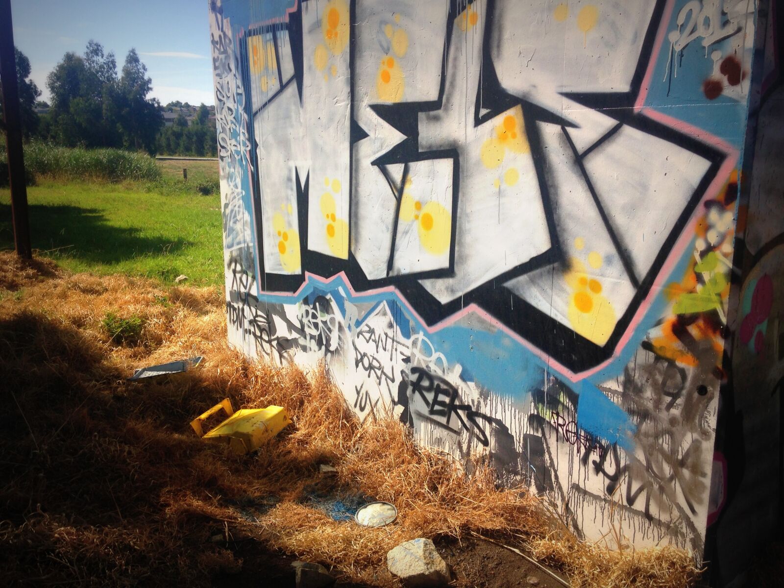 iPhone 5c back camera 4.12mm f/2.4 sample photo. Grafitti photography