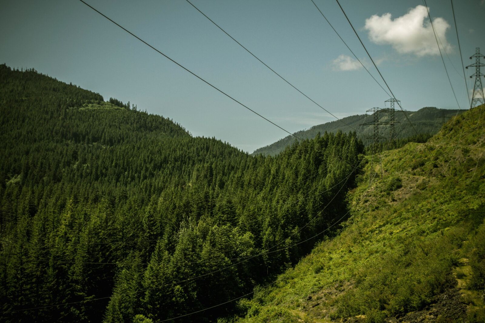 Nikon D5200 sample photo. Green, wire, landscape, nature photography