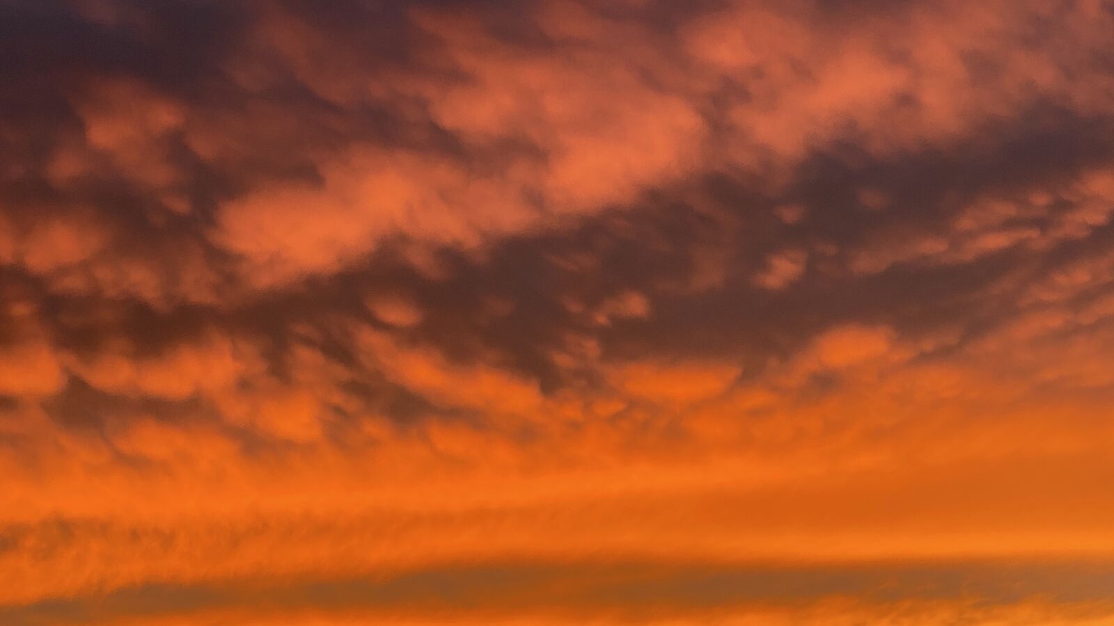 Apple iPhone 11 Pro Max sample photo. Sunset, sky, nature photography
