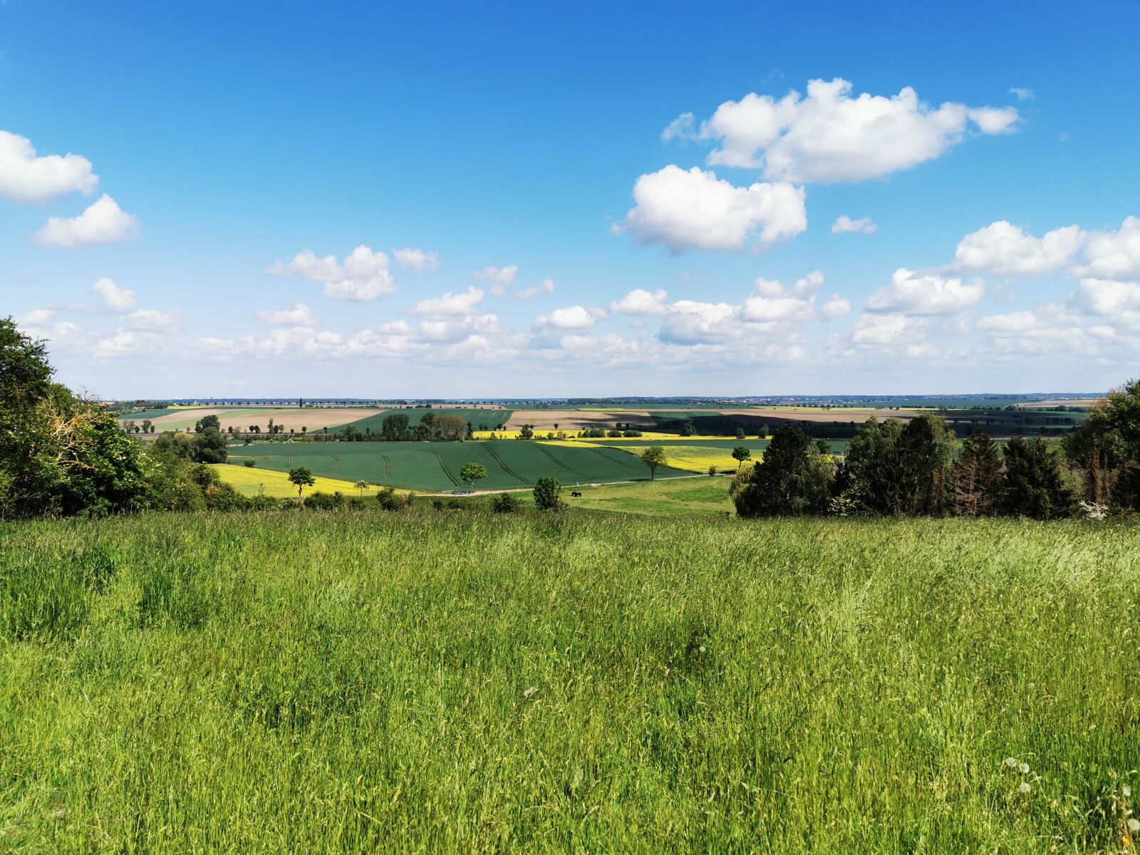HUAWEI P30 Pro sample photo. Wolfenbüttel, aces, landscape photography