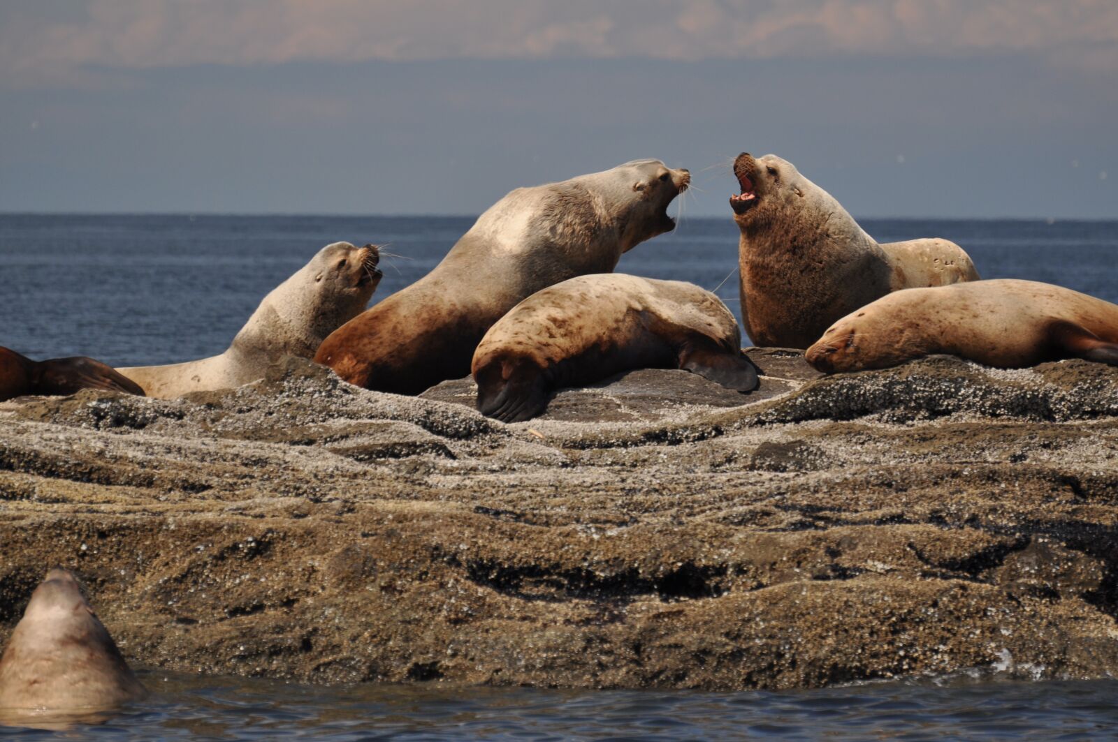 Nikon D5000 sample photo. Sea, waters, ocean photography