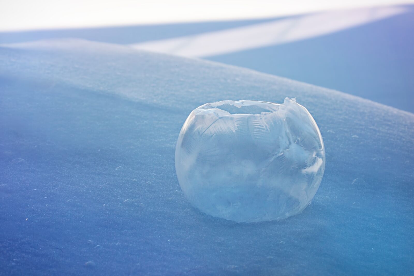 Canon EF 50mm F1.4 USM sample photo. Frozen bubble, bubble, ice photography