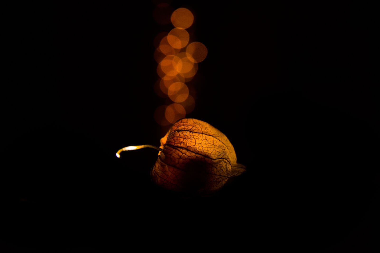 Nikon D3400 sample photo. Pumpkin king, bokeh, smoke photography