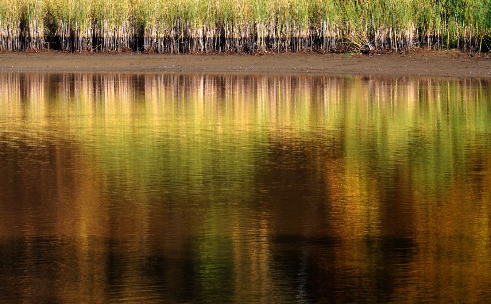 Nikon D5100 sample photo. Pond, reflections, nature photography