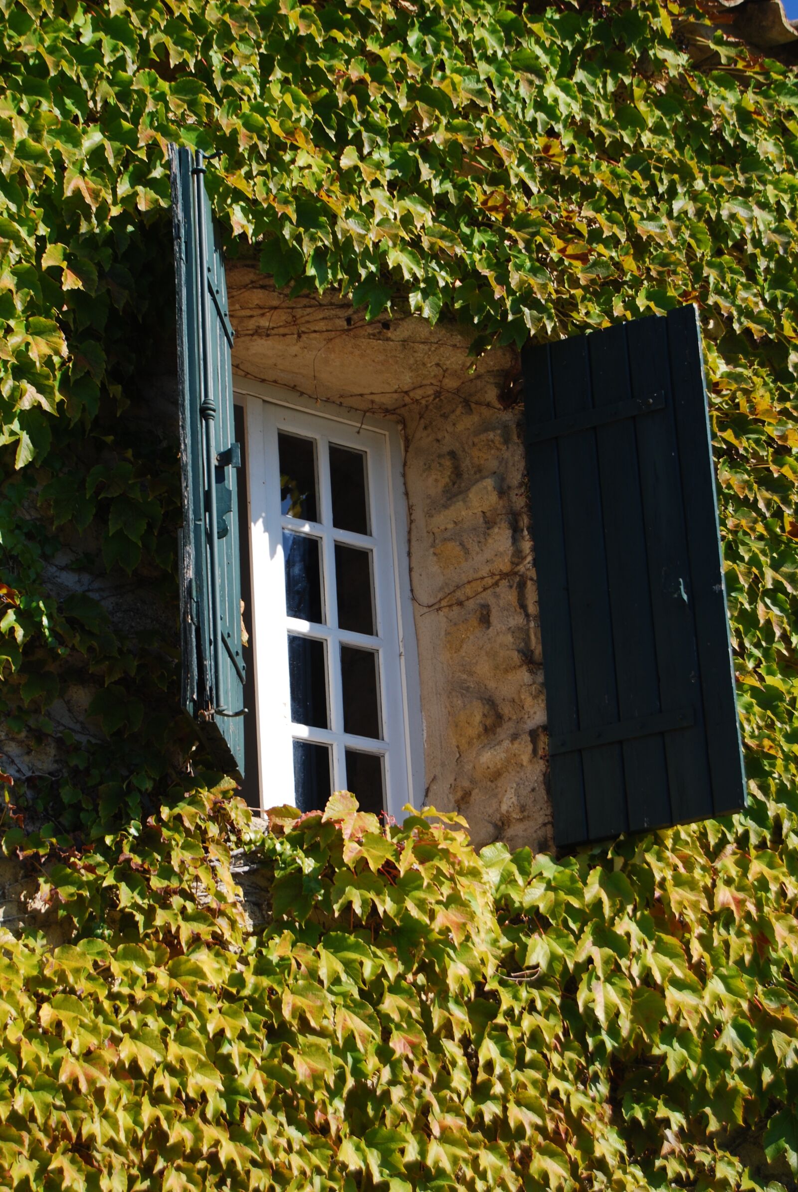 Nikon D40X sample photo. Opening, window, shutters photography