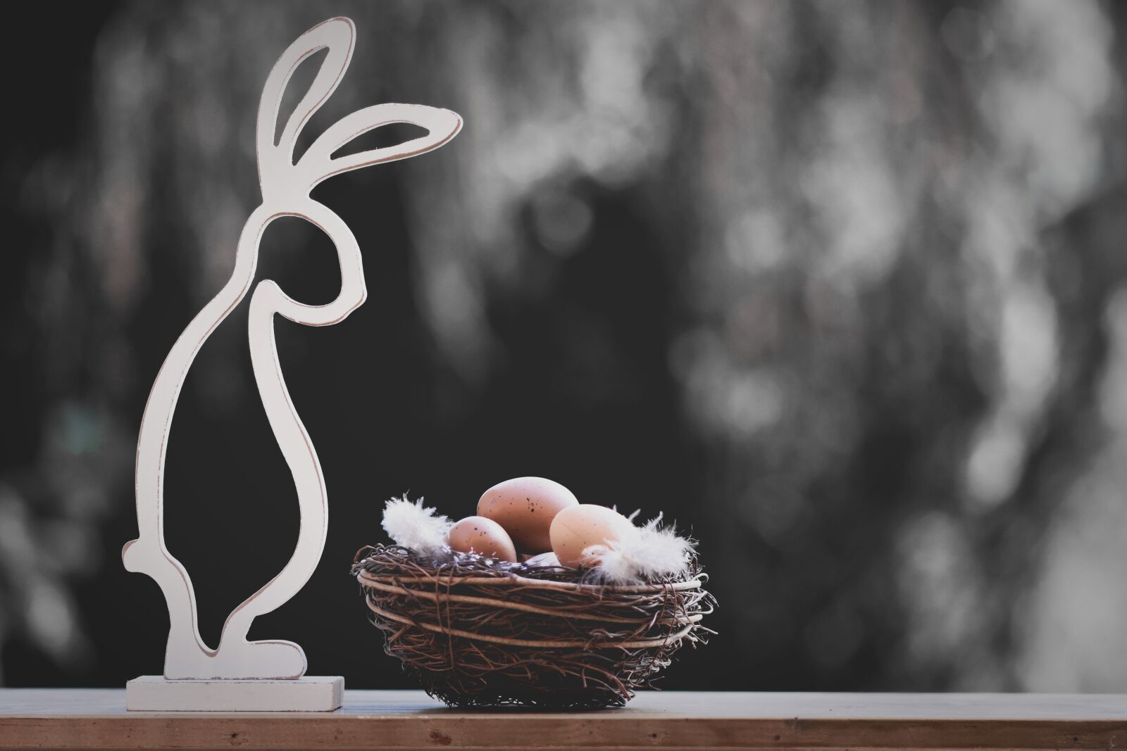 Nikon D7200 sample photo. Easter, easter bunny, spring photography