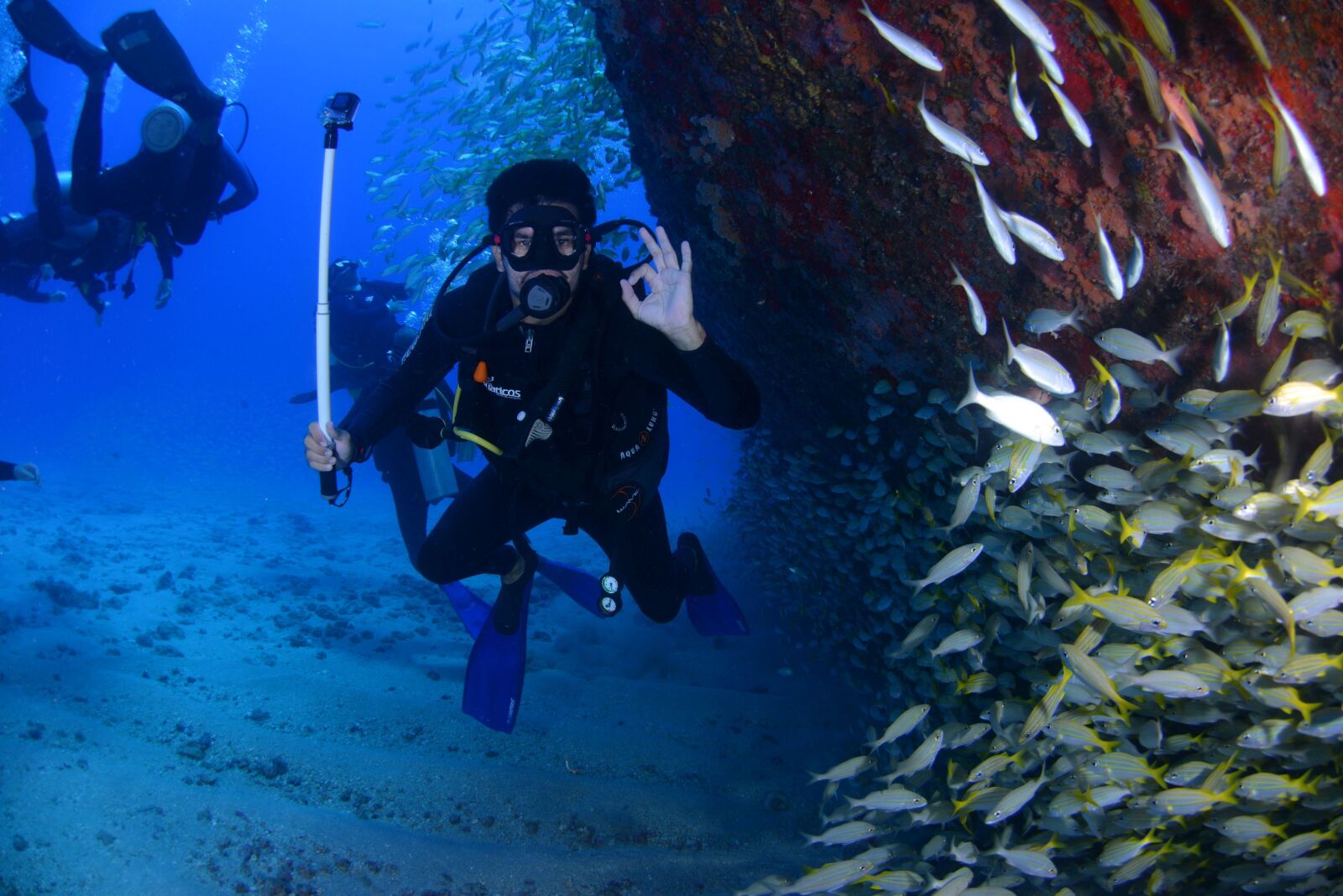 Nikon D800 sample photo. Dive, blue, diving deep photography