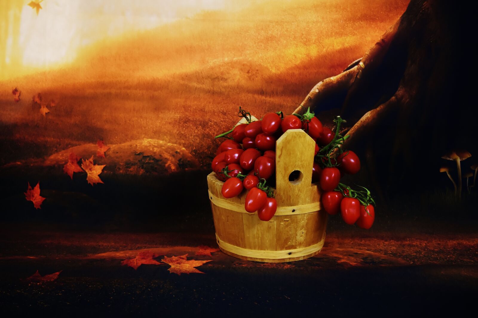 Nikon D7200 sample photo. Tomatoes, wooden bucket, collect photography