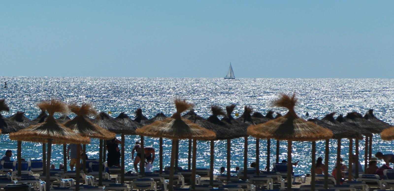 Canon EOS 6D + Canon EF 24-105mm F4L IS USM sample photo. Beach, sun, summer photography