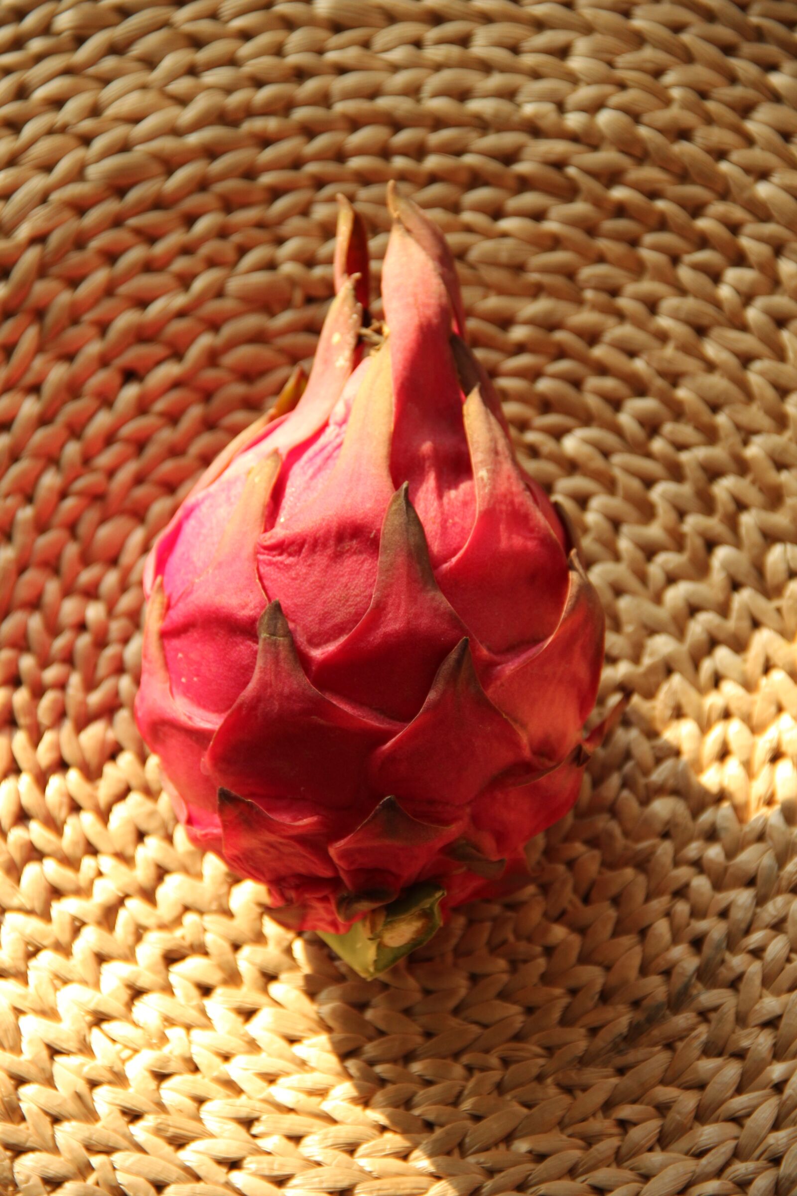 Canon EF-S 18-135mm F3.5-5.6 IS sample photo. Fire, dragon, fruit photography