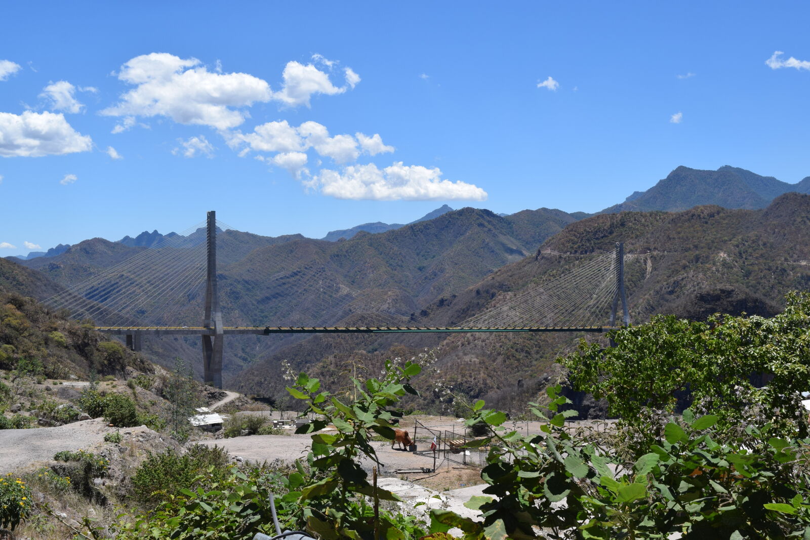 Nikon D3300 sample photo. Bridge, durango, mazatlan, bridge photography