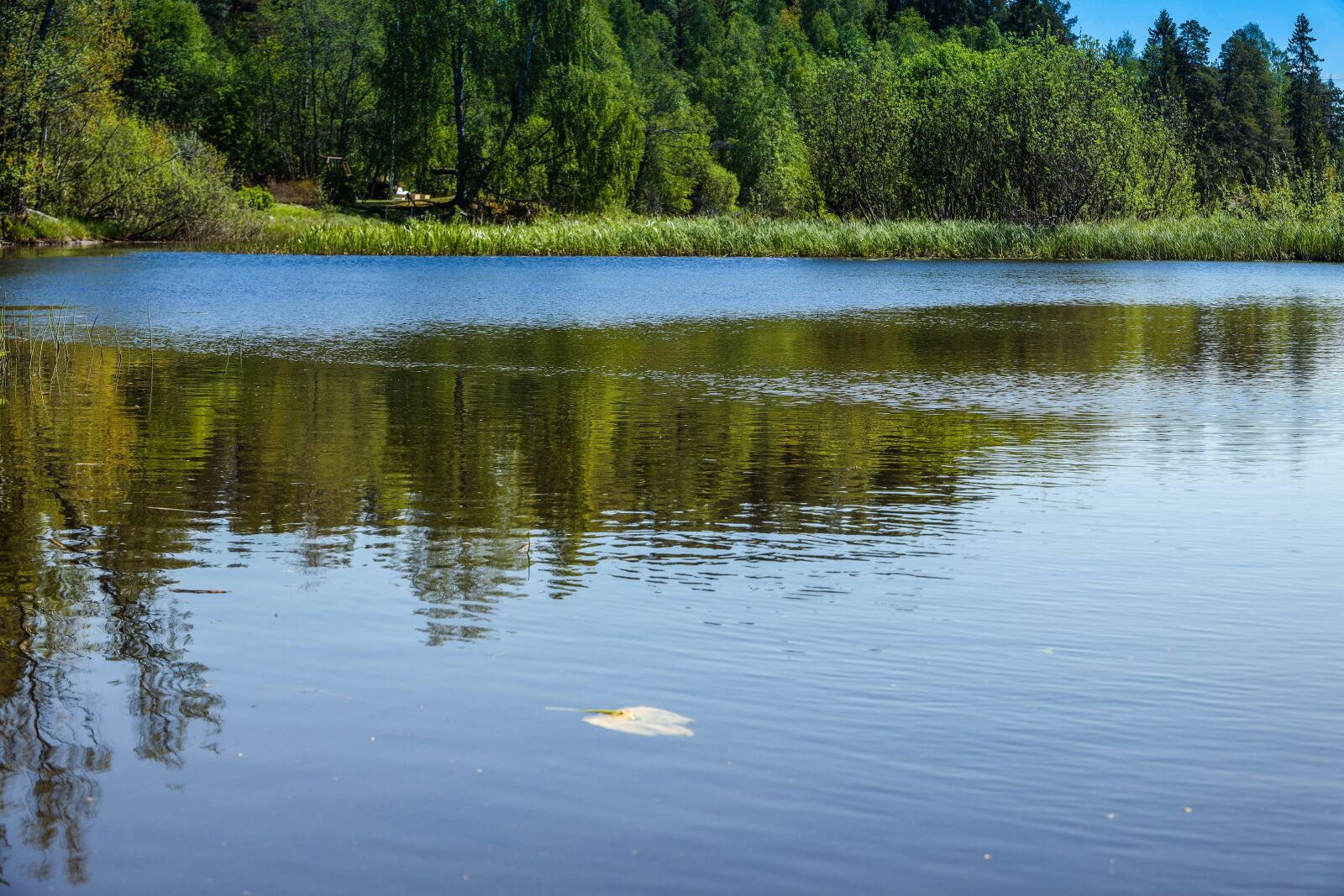 Canon EOS R sample photo. Water, lake, reflection photography