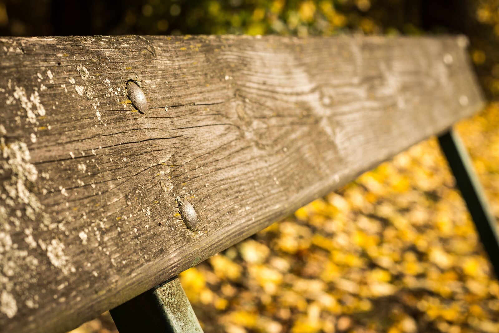 Canon EOS 700D (EOS Rebel T5i / EOS Kiss X7i) sample photo. Bench, session, sit photography