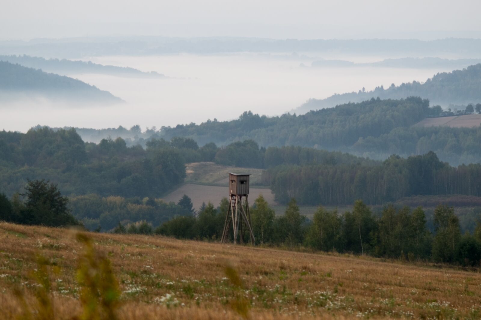 Fujifilm X-T10 sample photo. Landscape, poland, nature photography