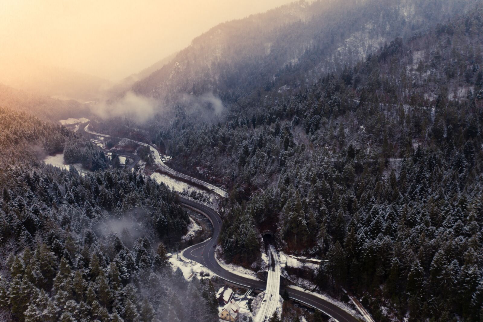 Hasselblad L1D-20c sample photo. Black forest, firs, trees photography