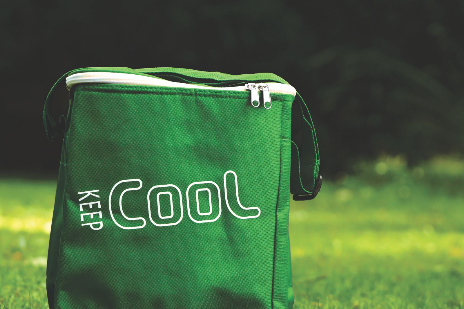 Nikon D3200 sample photo. Cooler bag, cool, coolness photography