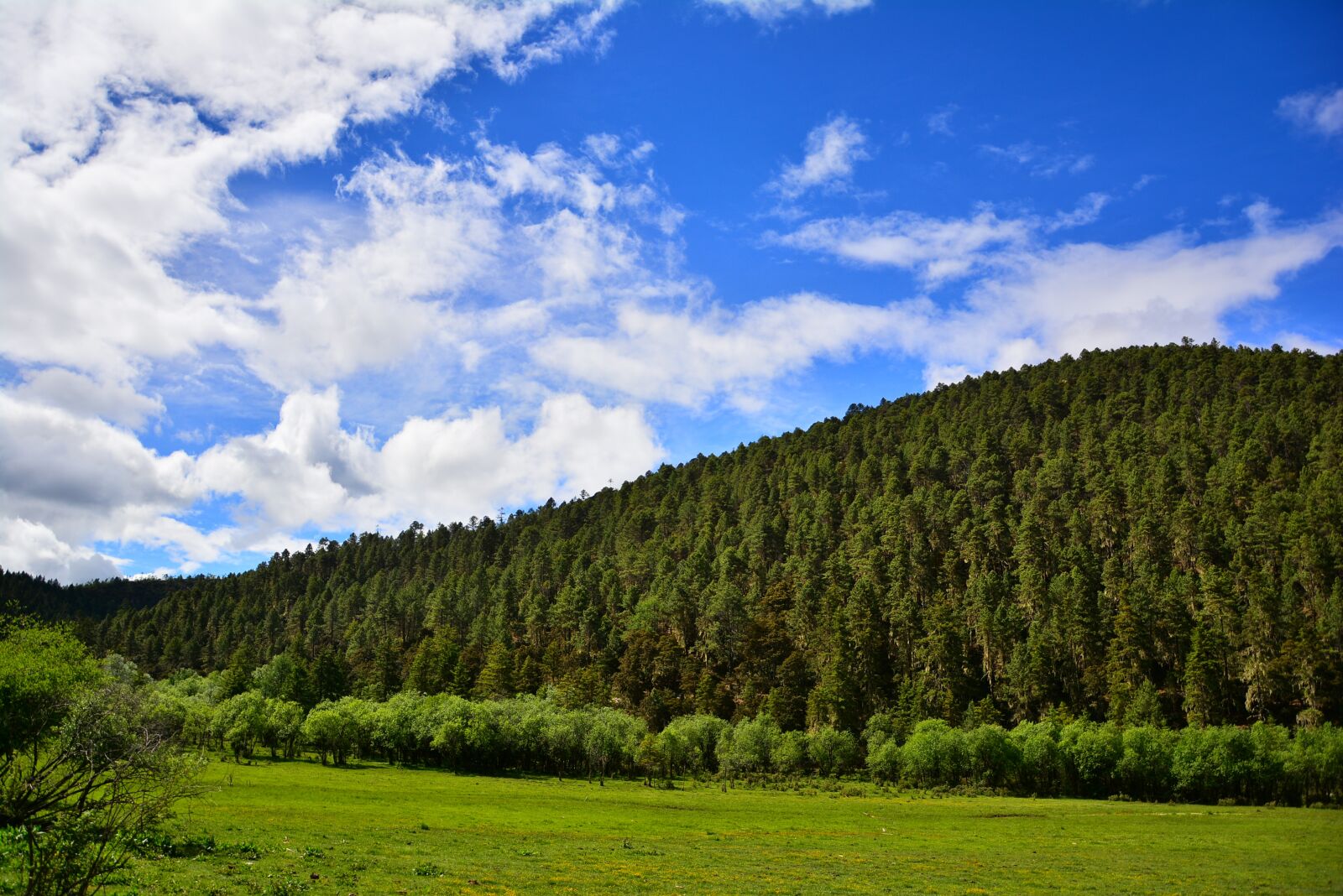 Nikon D7100 sample photo. The scenery, shangri-la's, pudacuo photography