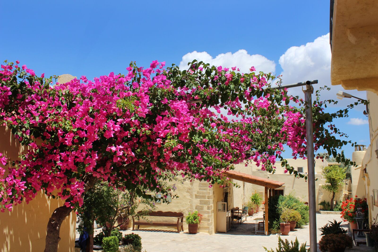 Canon EOS 600D (Rebel EOS T3i / EOS Kiss X5) sample photo. Greece, crete, monastery moni photography