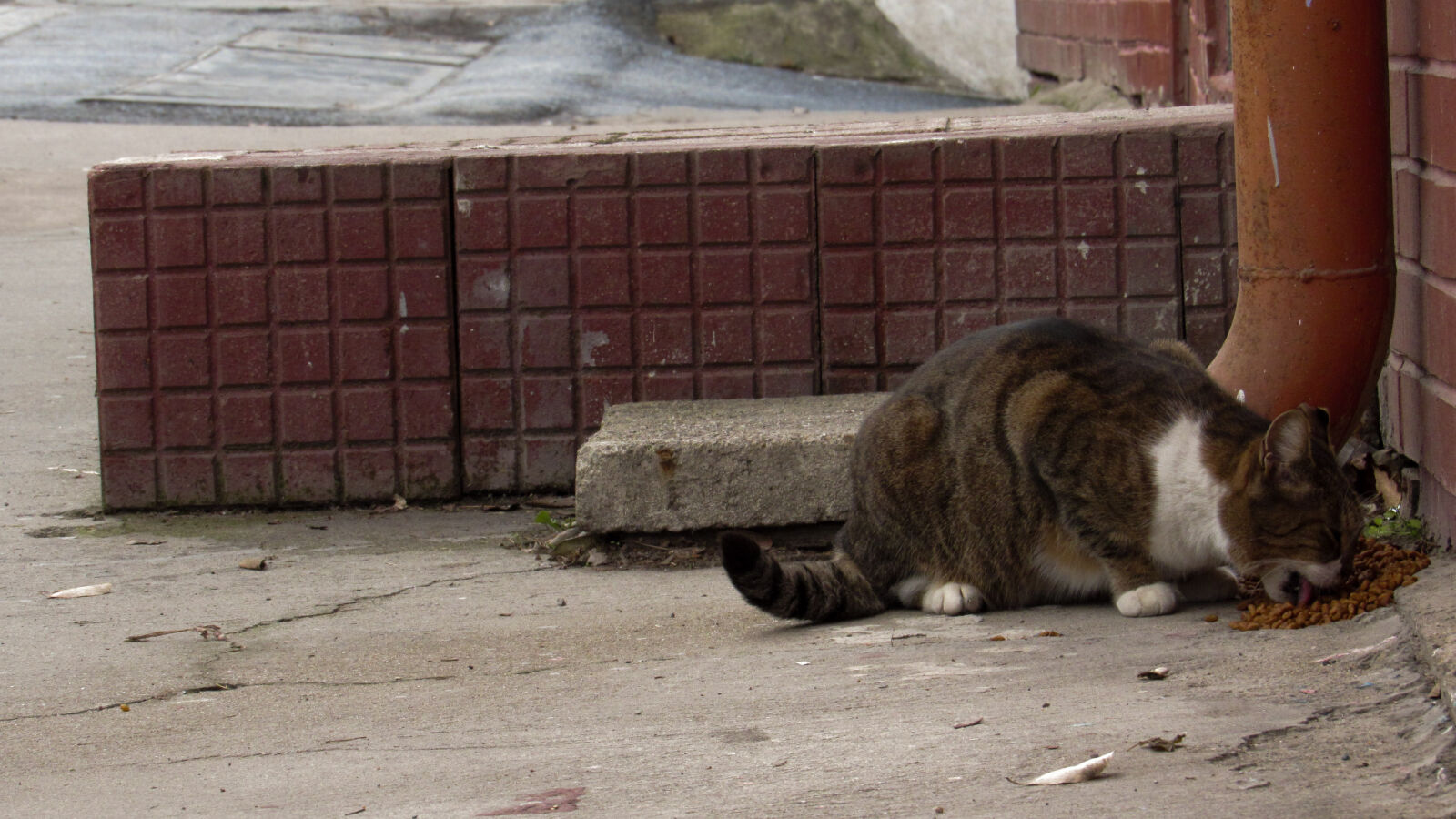 Canon PowerShot SX520 HS sample photo