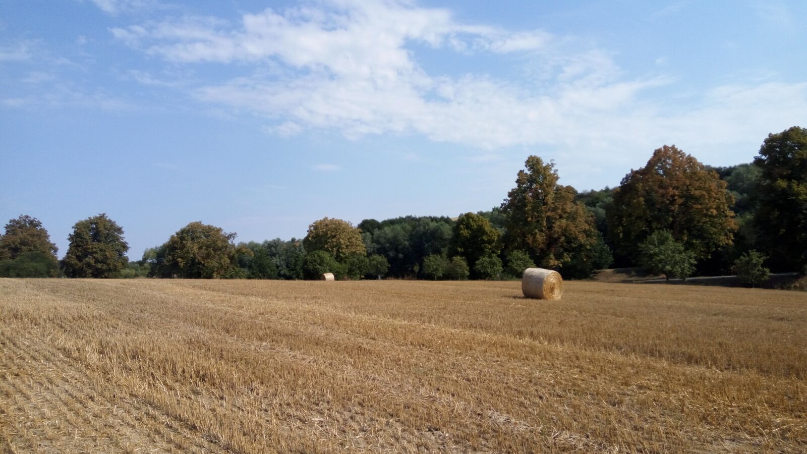 Lenovo VIBE X3 LITE sample photo. Field, forests, landscape photography