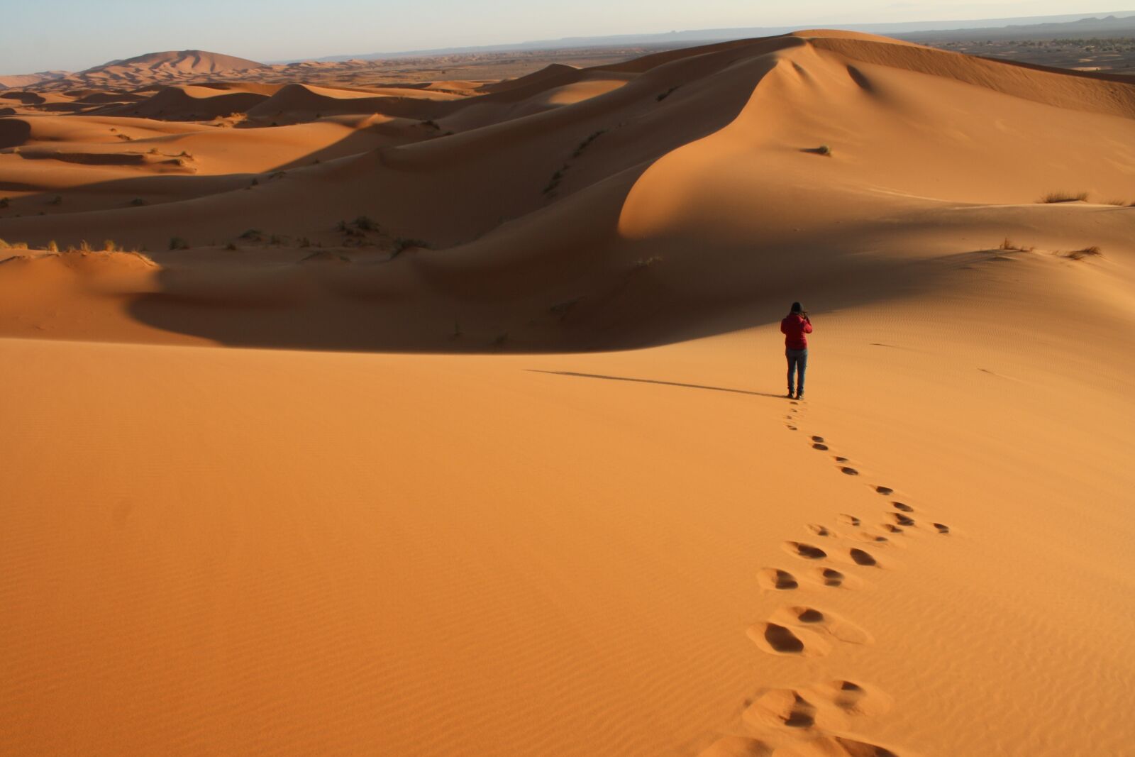 Canon EOS 1000D (EOS Digital Rebel XS / EOS Kiss F) sample photo. Desert, sand, no person photography