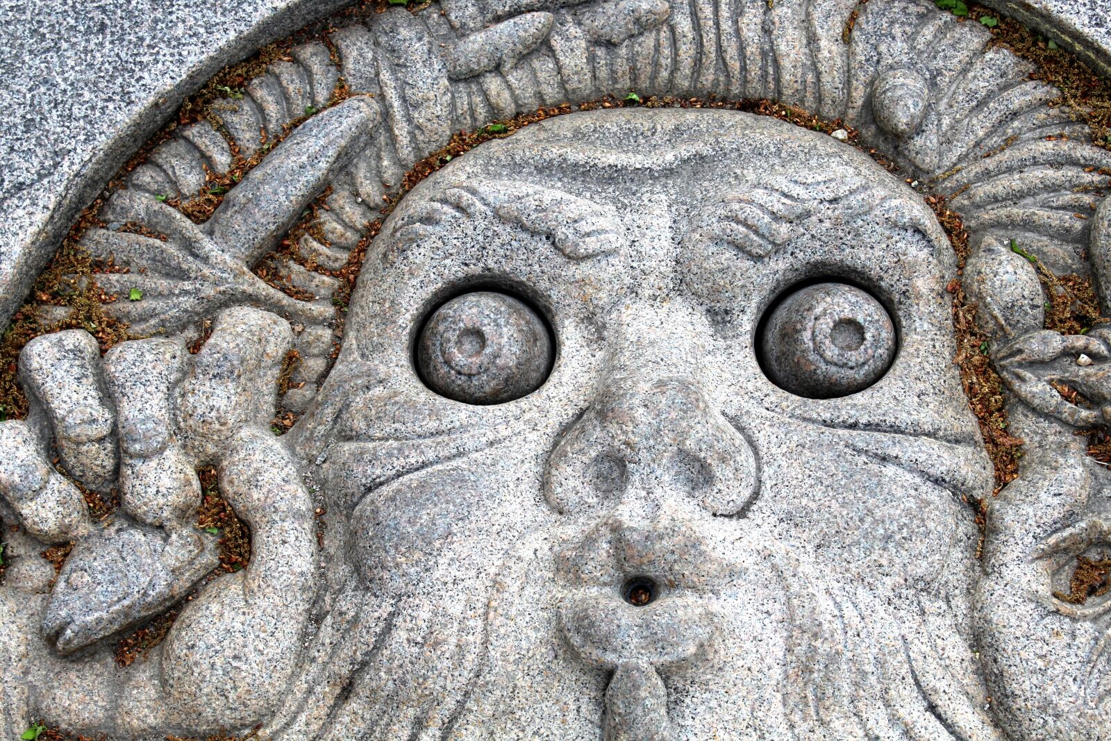 Canon EOS 1300D (EOS Rebel T6 / EOS Kiss X80) sample photo. Stone, face, fish photography
