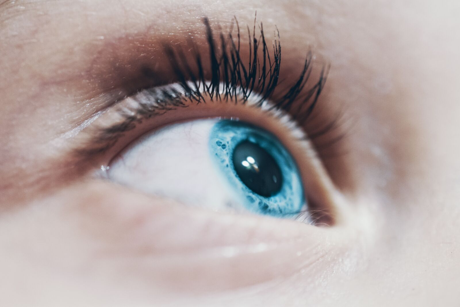 Nikon D7100 sample photo. Eye, eyelashes, iris photography