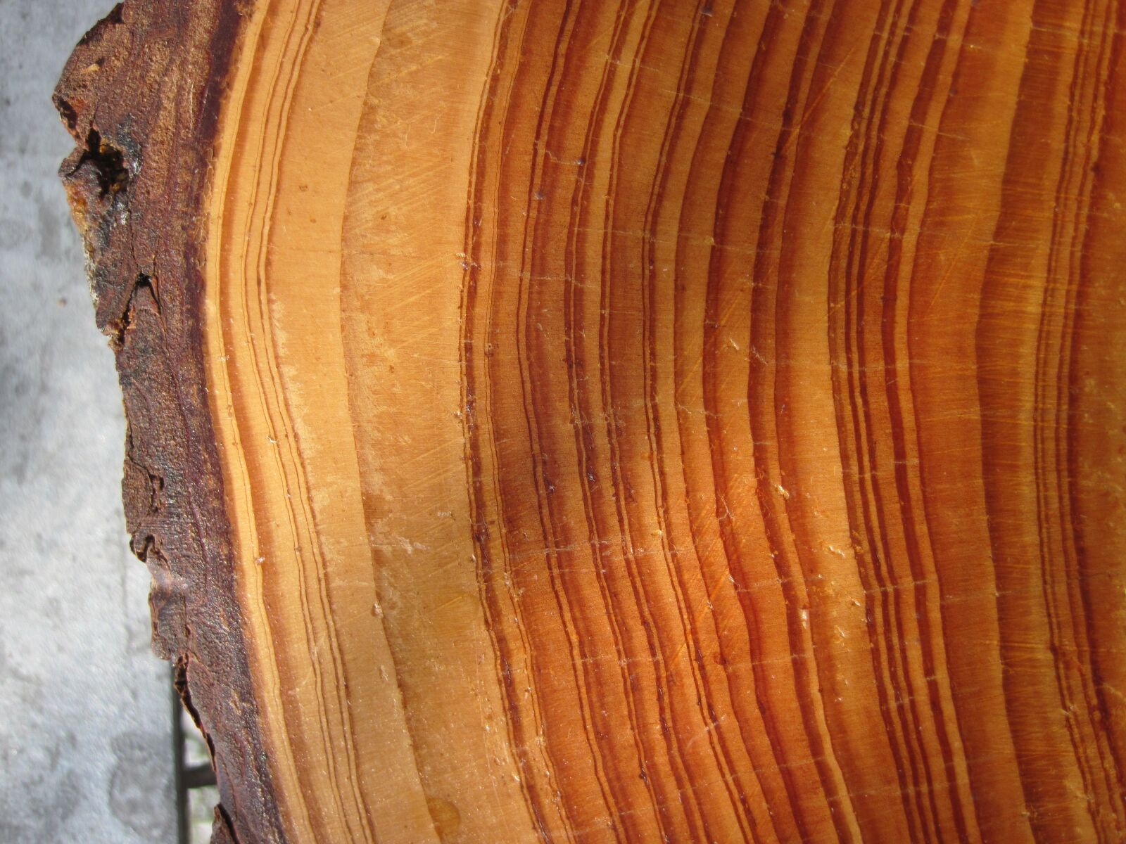 Canon PowerShot D10 sample photo. Wood, grain, wooden structure photography