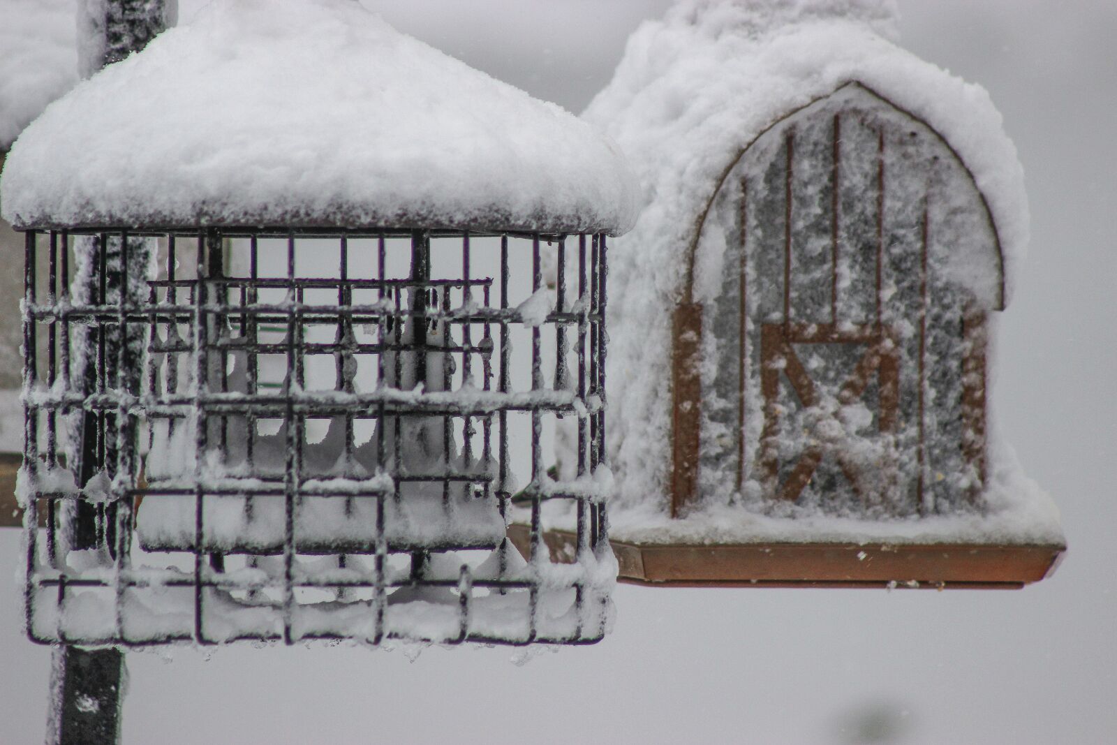 Canon EOS 600D (Rebel EOS T3i / EOS Kiss X5) sample photo. House, birdhouse, nature photography