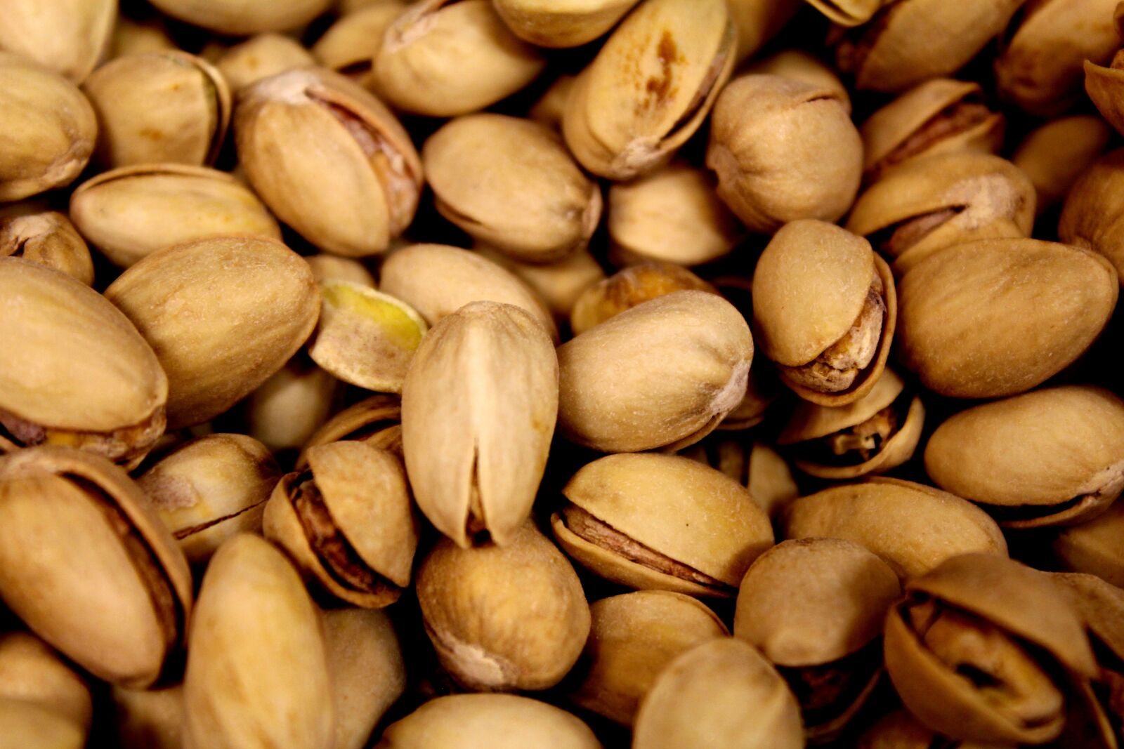 Canon EOS 1200D (EOS Rebel T5 / EOS Kiss X70 / EOS Hi) sample photo. Pistachio, mix fruit, beans photography