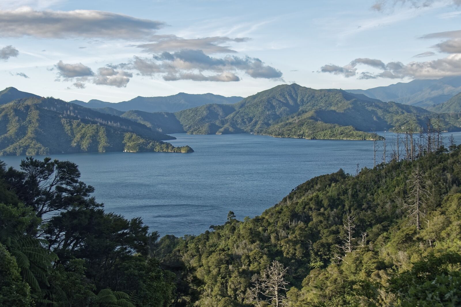 Nikon D500 sample photo. New zealand, ngakuta bay photography