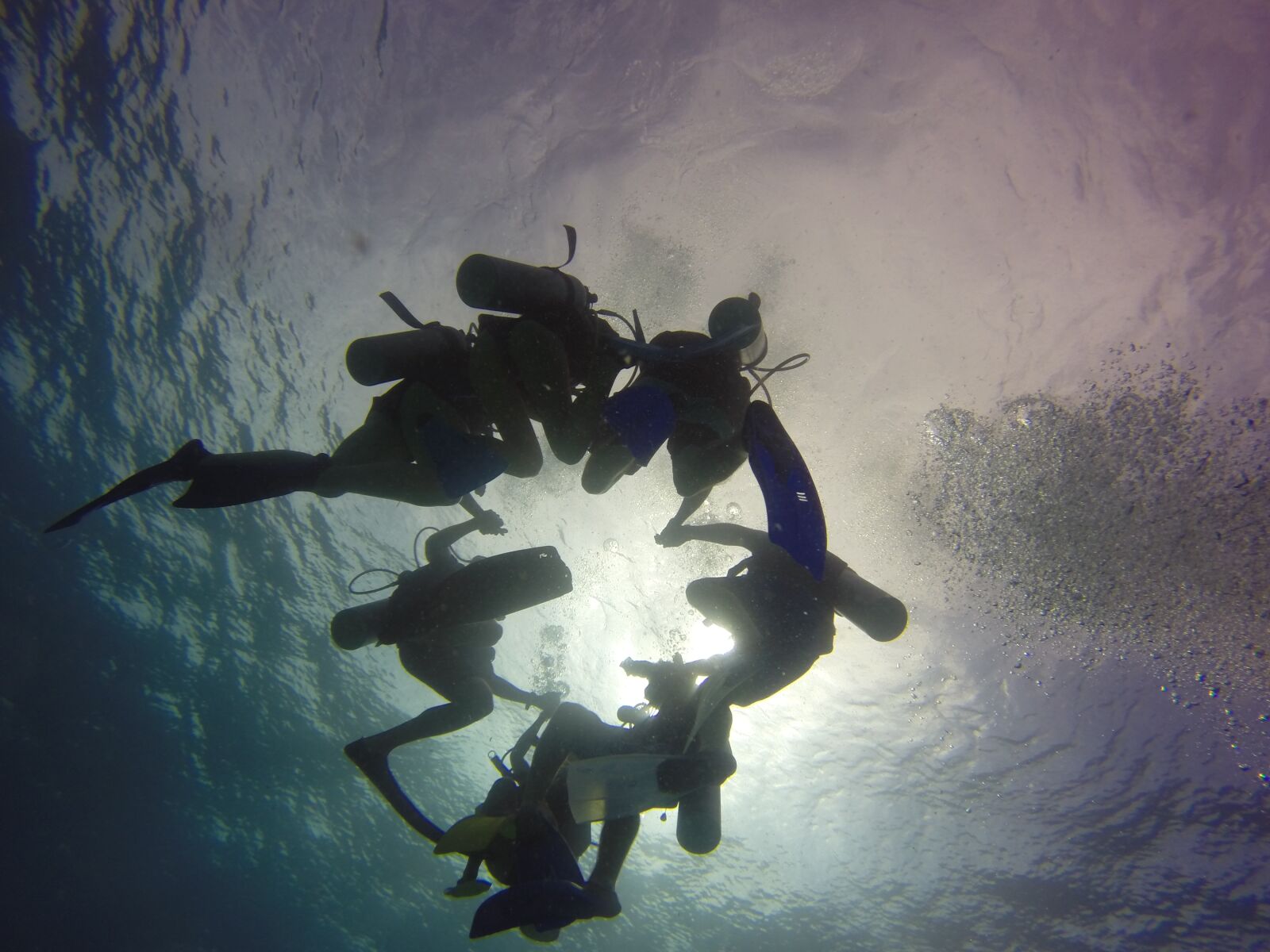 GoPro HERO3+ Black Edition sample photo. Scuba, reef, aquatic photography