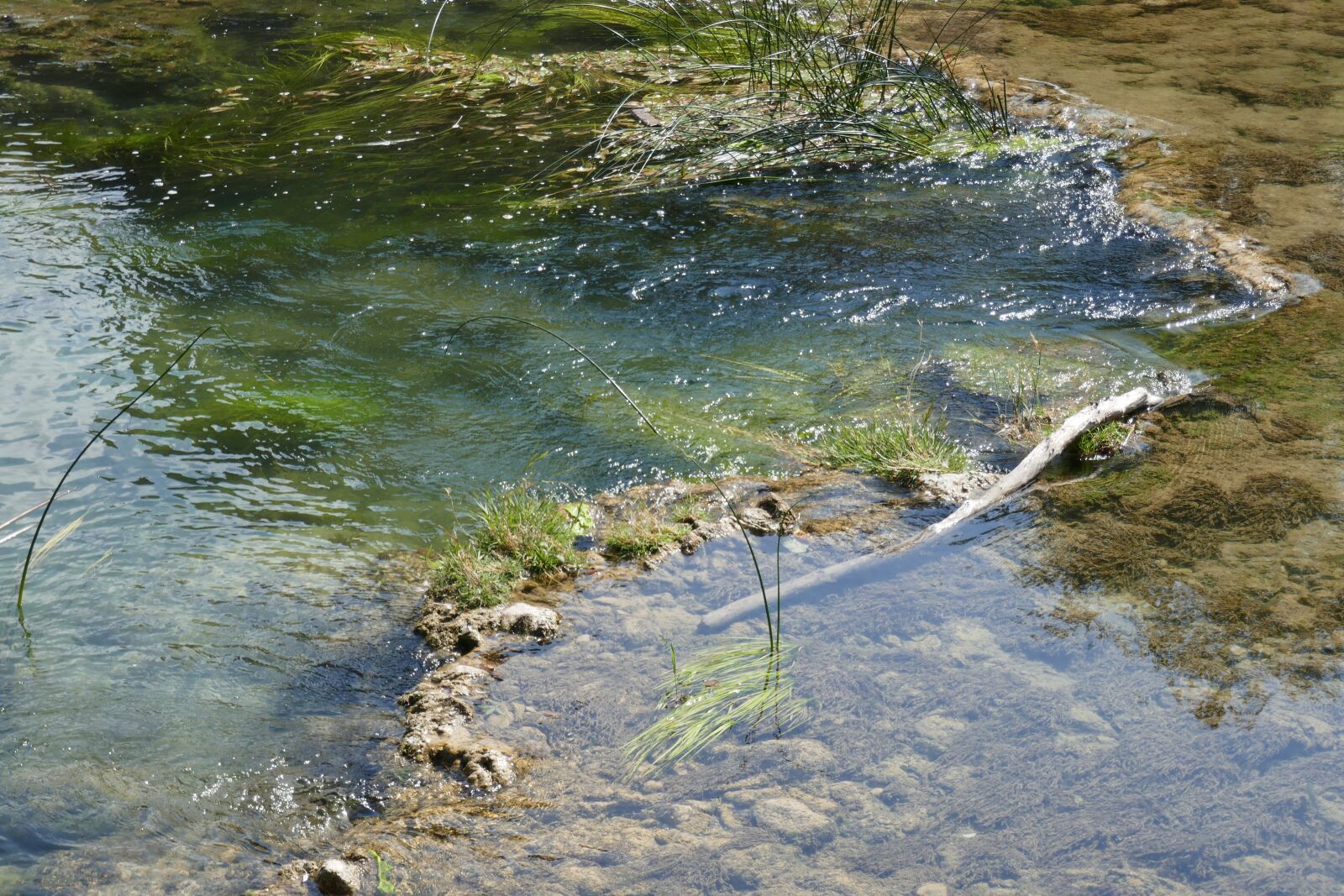 Panasonic DMC-TZ101 sample photo. Clear water, river, krka photography