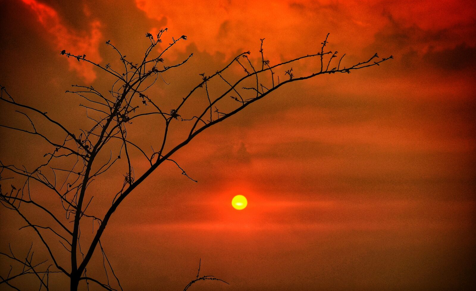 Nikon D5100 sample photo. Sun, sunset, color full photography