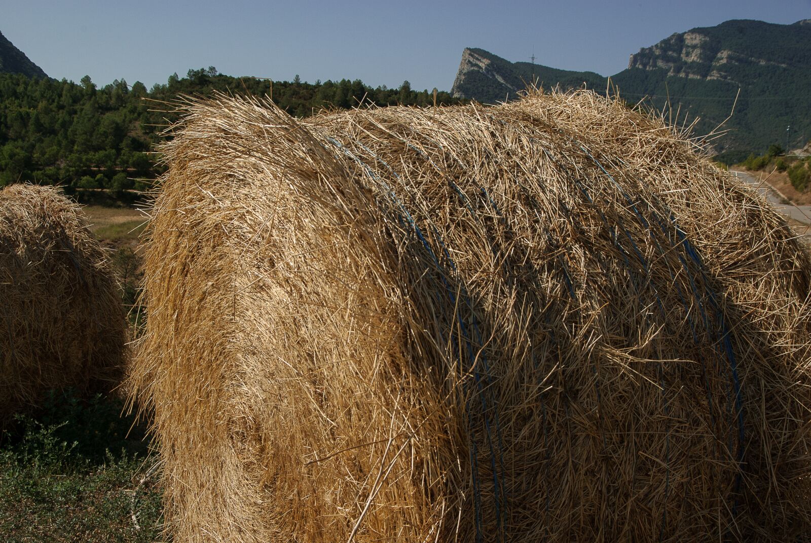 Pentax K10D sample photo. Straw, forage, ball photography