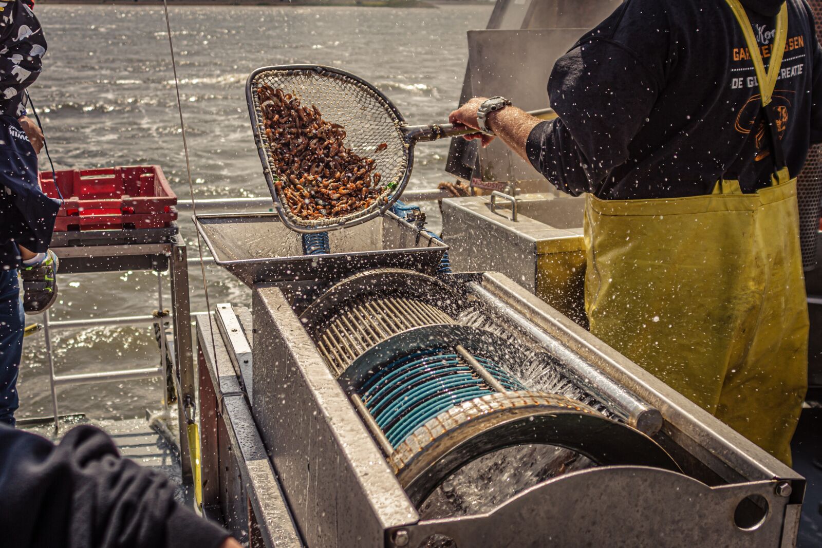 Canon EOS 7D sample photo. Shrimp, cook, hot photography