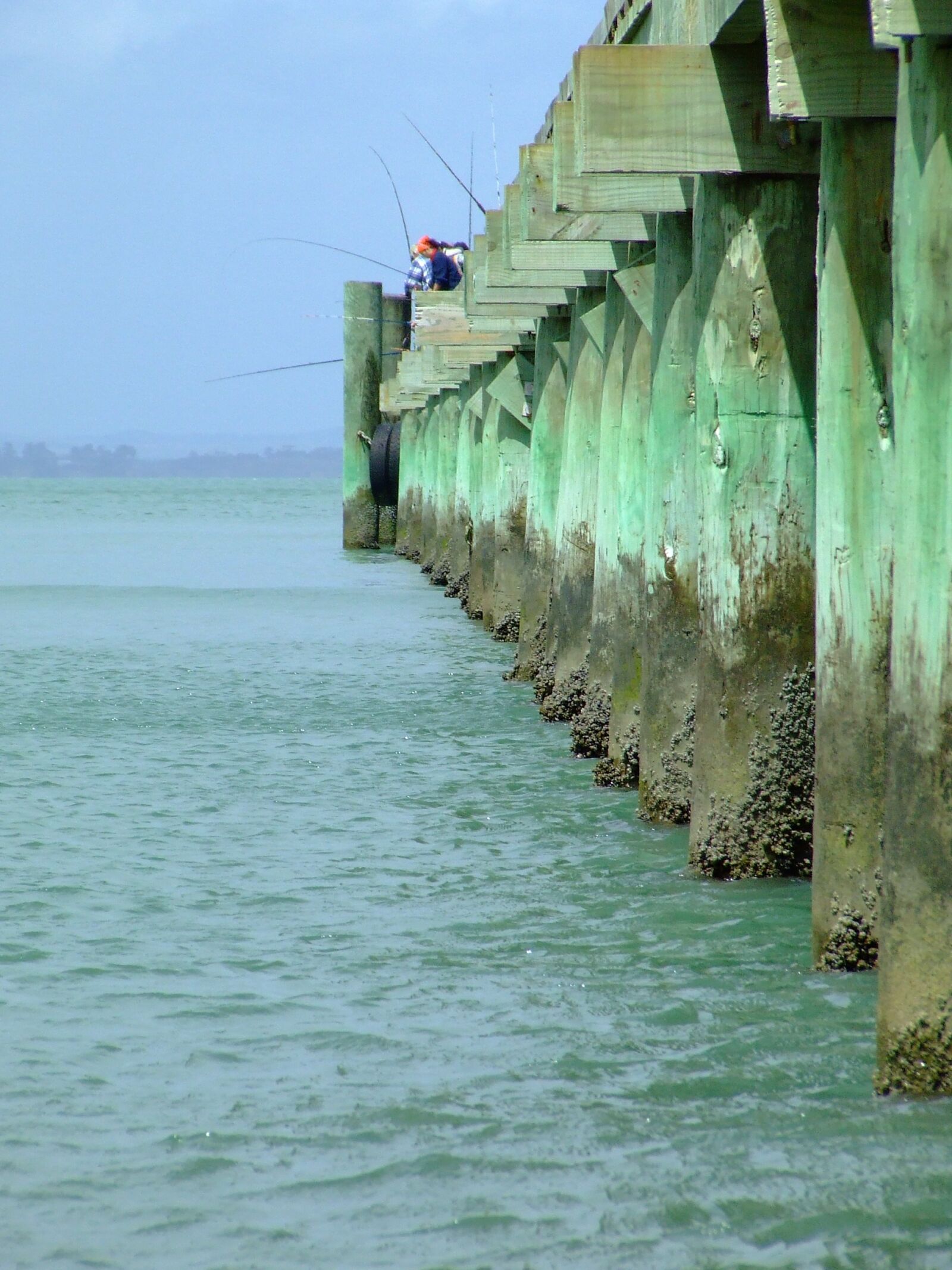 Fujifilm FinePix S5600 sample photo. Wharf, cornwallis, new zealand photography