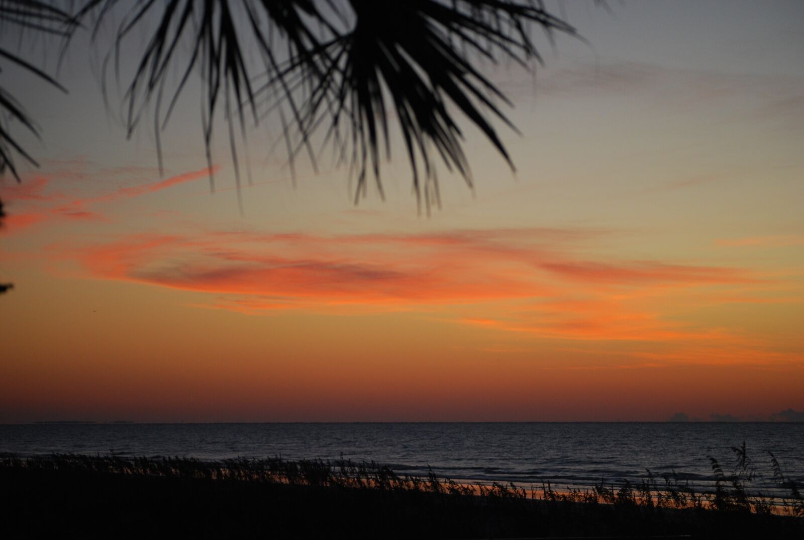 Nikon D60 sample photo. Sunrise, beach, orange photography