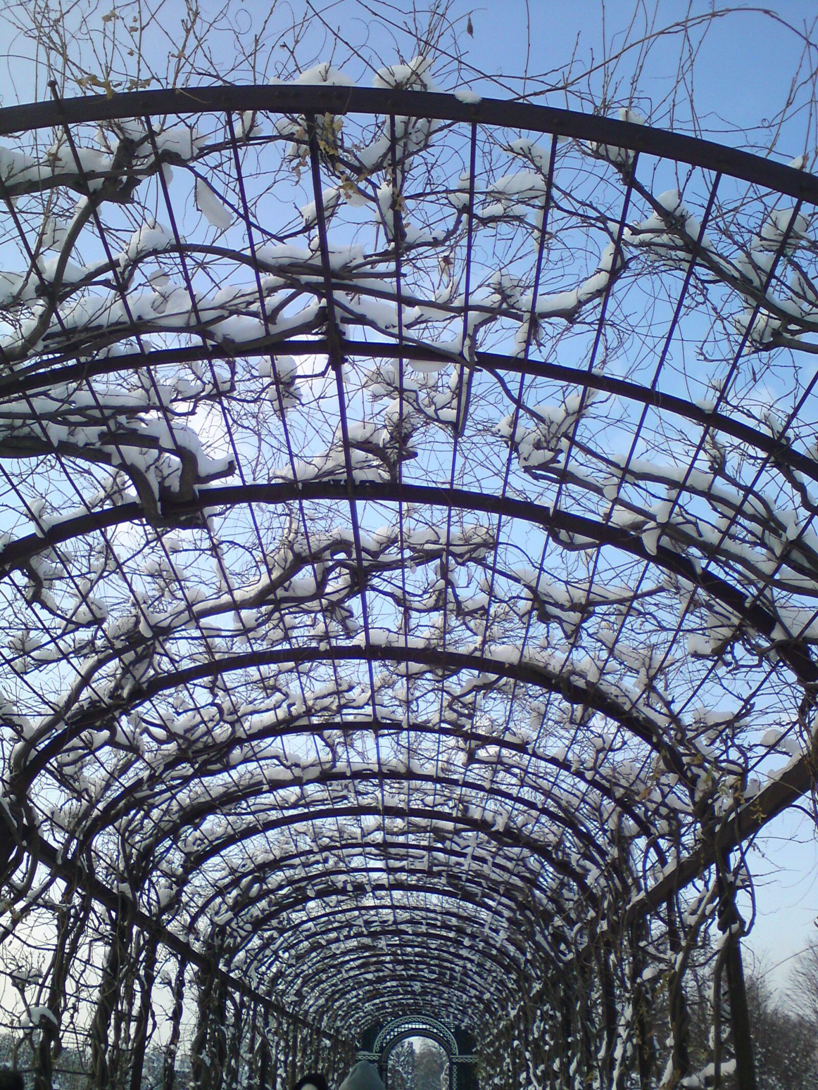 Sony Ericsson W995 sample photo. Snow, advent, winter photography