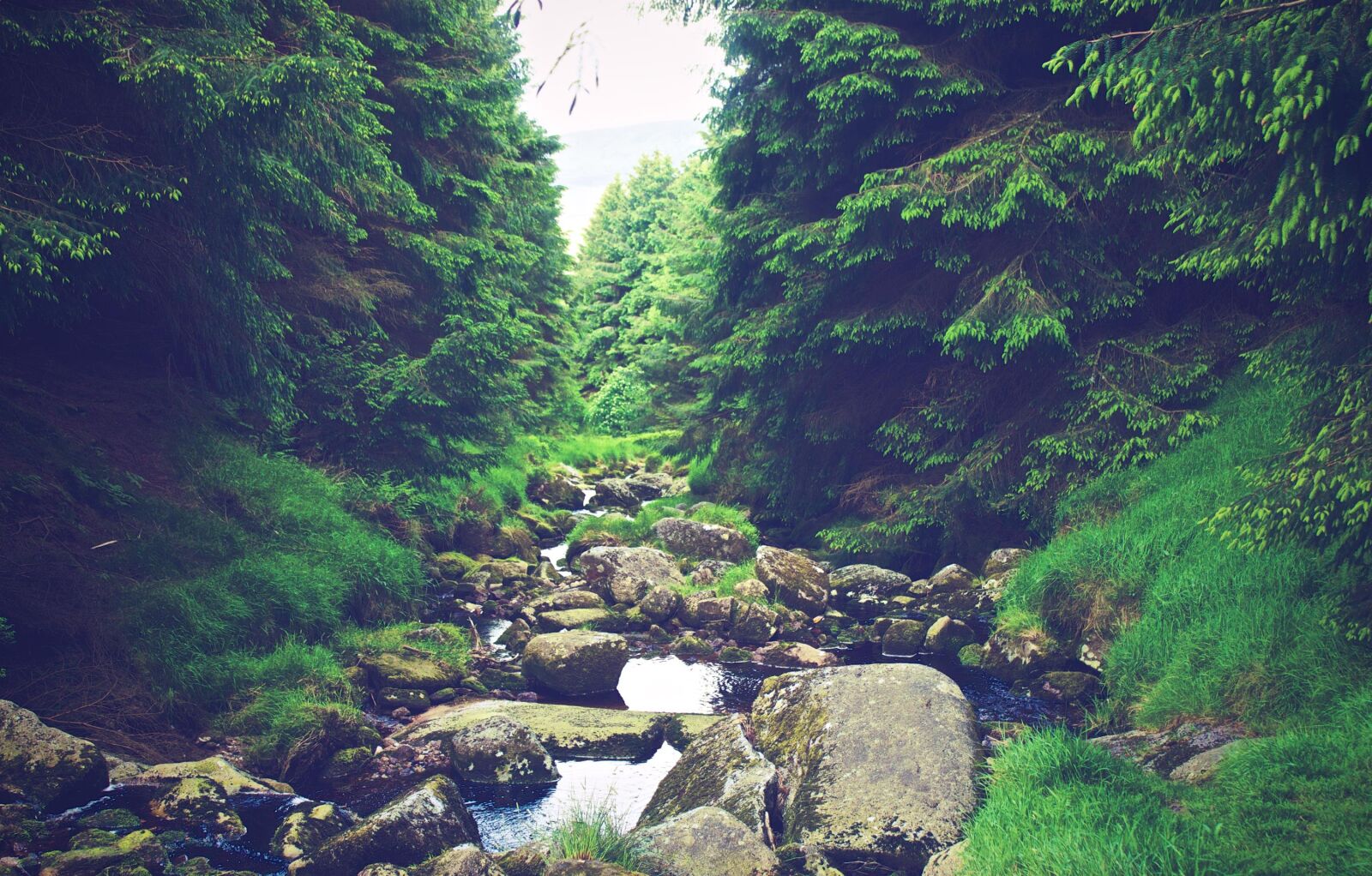 Canon EOS 650D (EOS Rebel T4i / EOS Kiss X6i) sample photo. River, stream, water photography