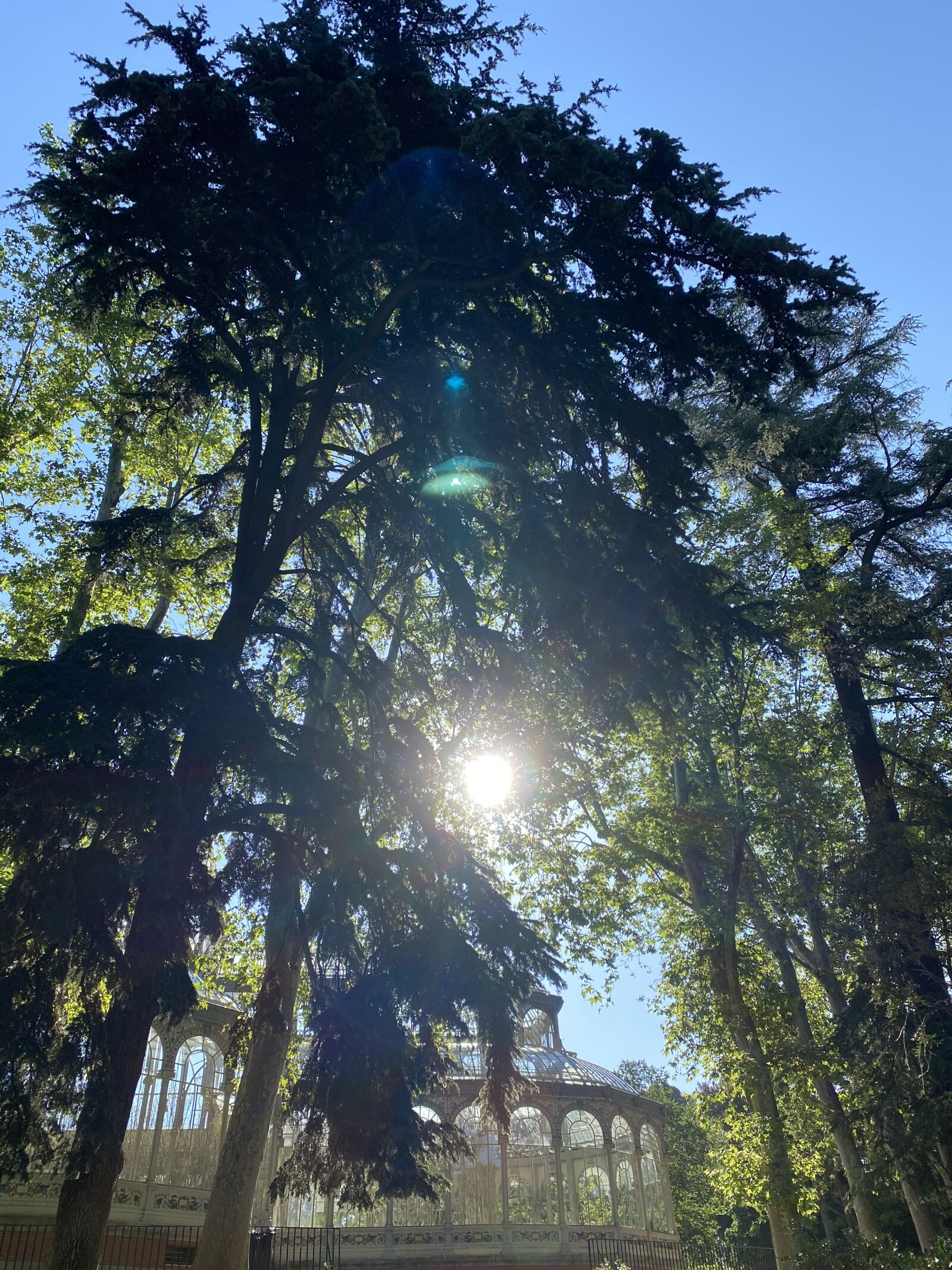 Apple iPhone 11 Pro sample photo. Trees, palace, sky photography