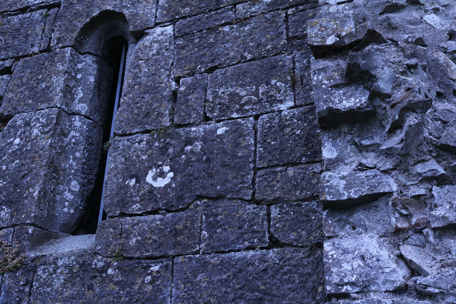 Canon EOS 750D (EOS Rebel T6i / EOS Kiss X8i) sample photo. Knight's castle, window, building photography