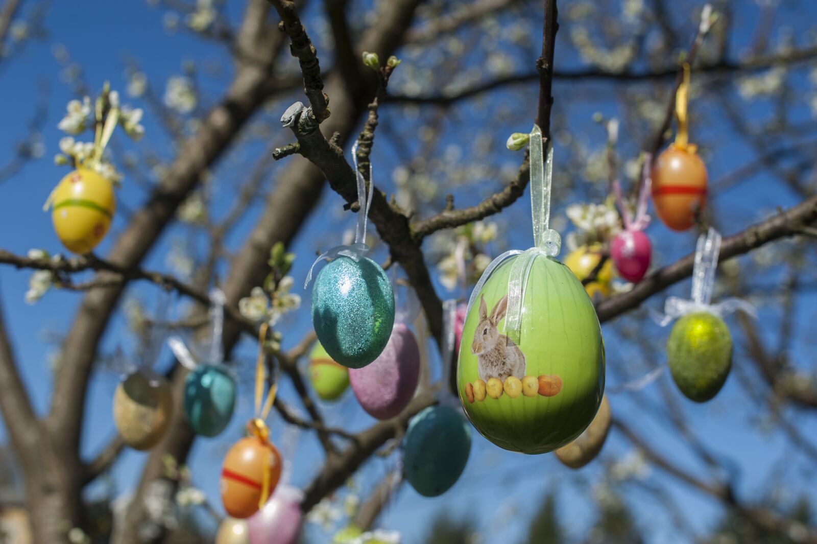 Nikon D700 sample photo. Easter, egg, eggs photography
