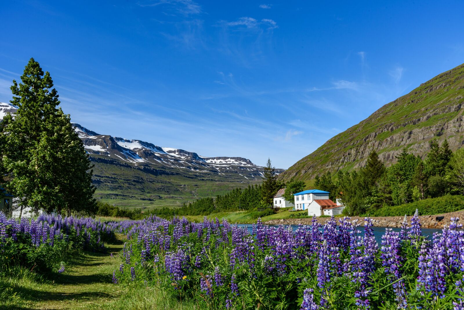Nikon D750 sample photo. Iceland, landscape, sey isfj photography