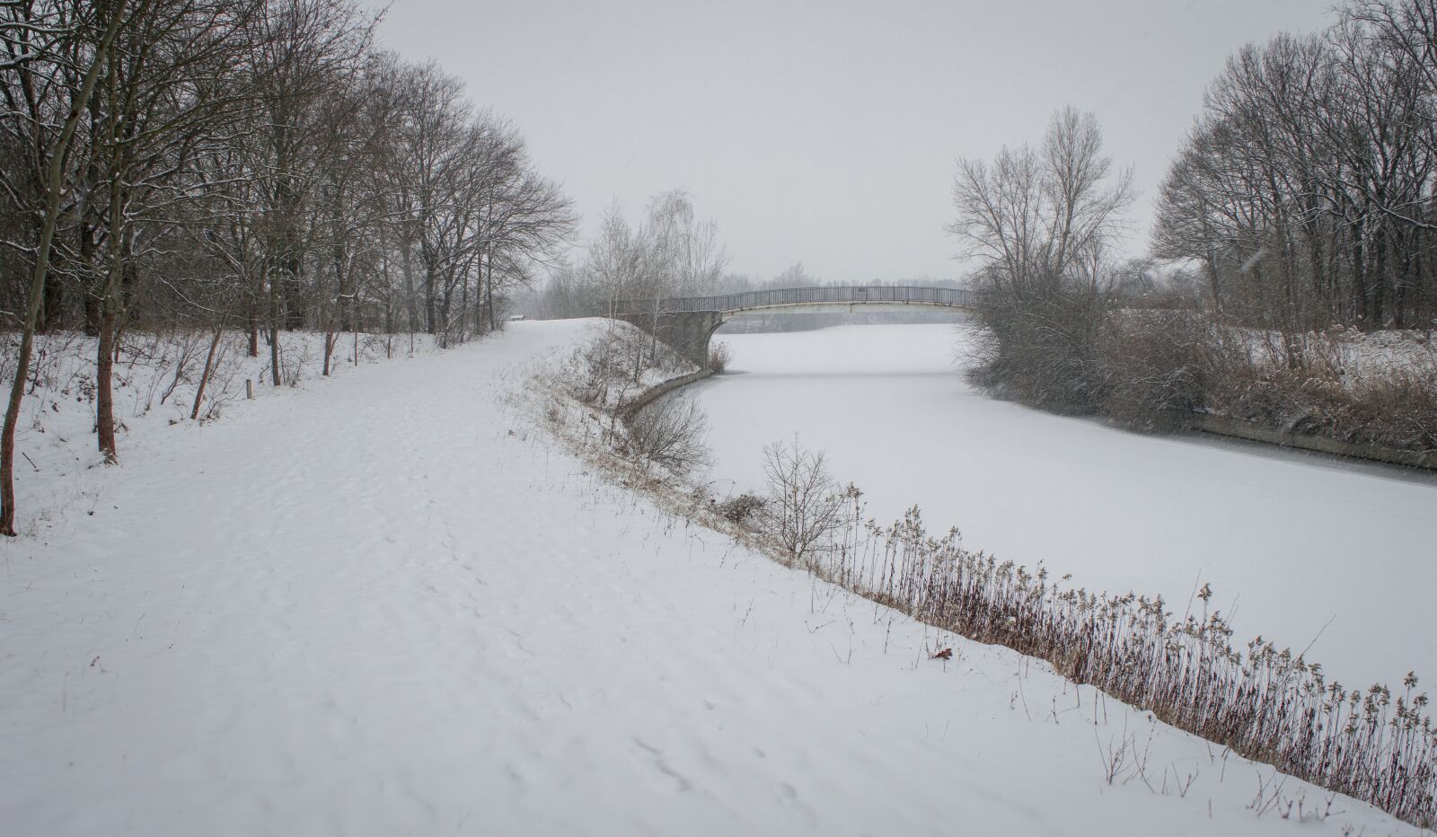 Nikon D3200 sample photo. Forest, winter, outdoor photography