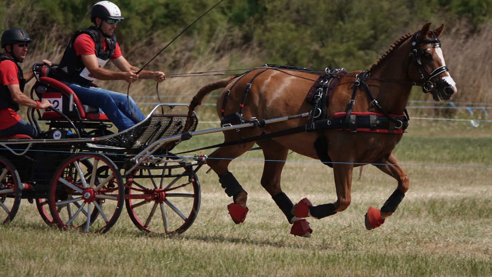 Sony Cyber-shot DSC-RX10 IV sample photo. Horses, contest, hitch photography