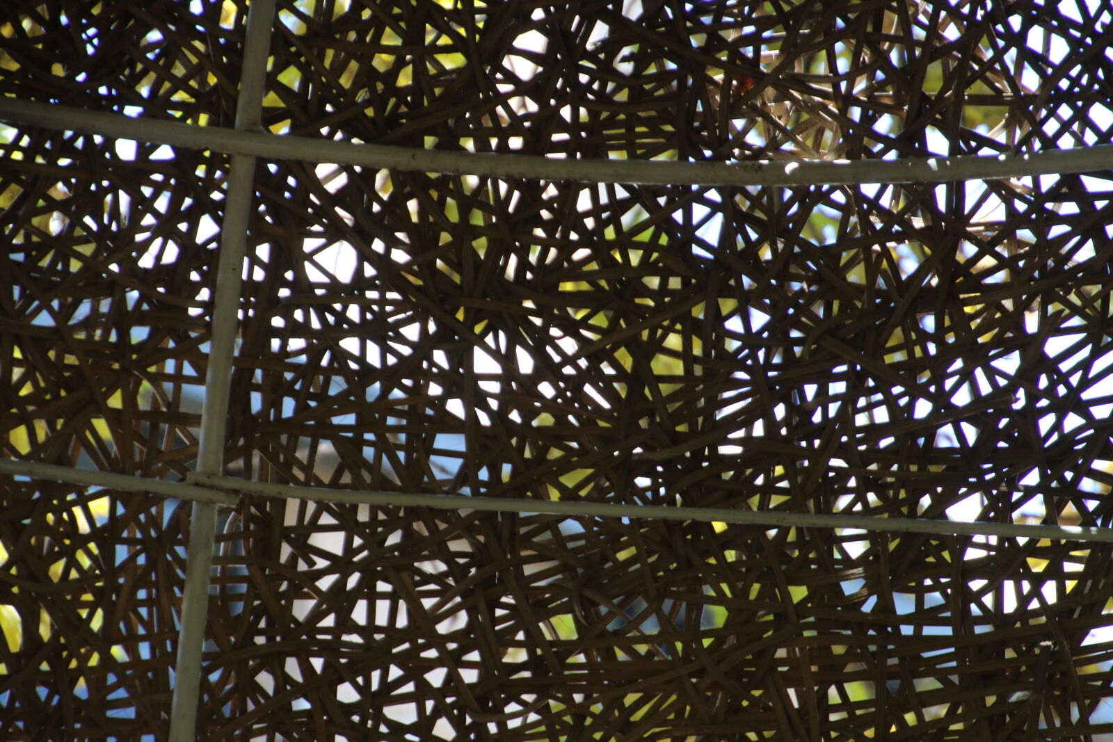 Canon EOS 7D Mark II sample photo. Texture, weave photography