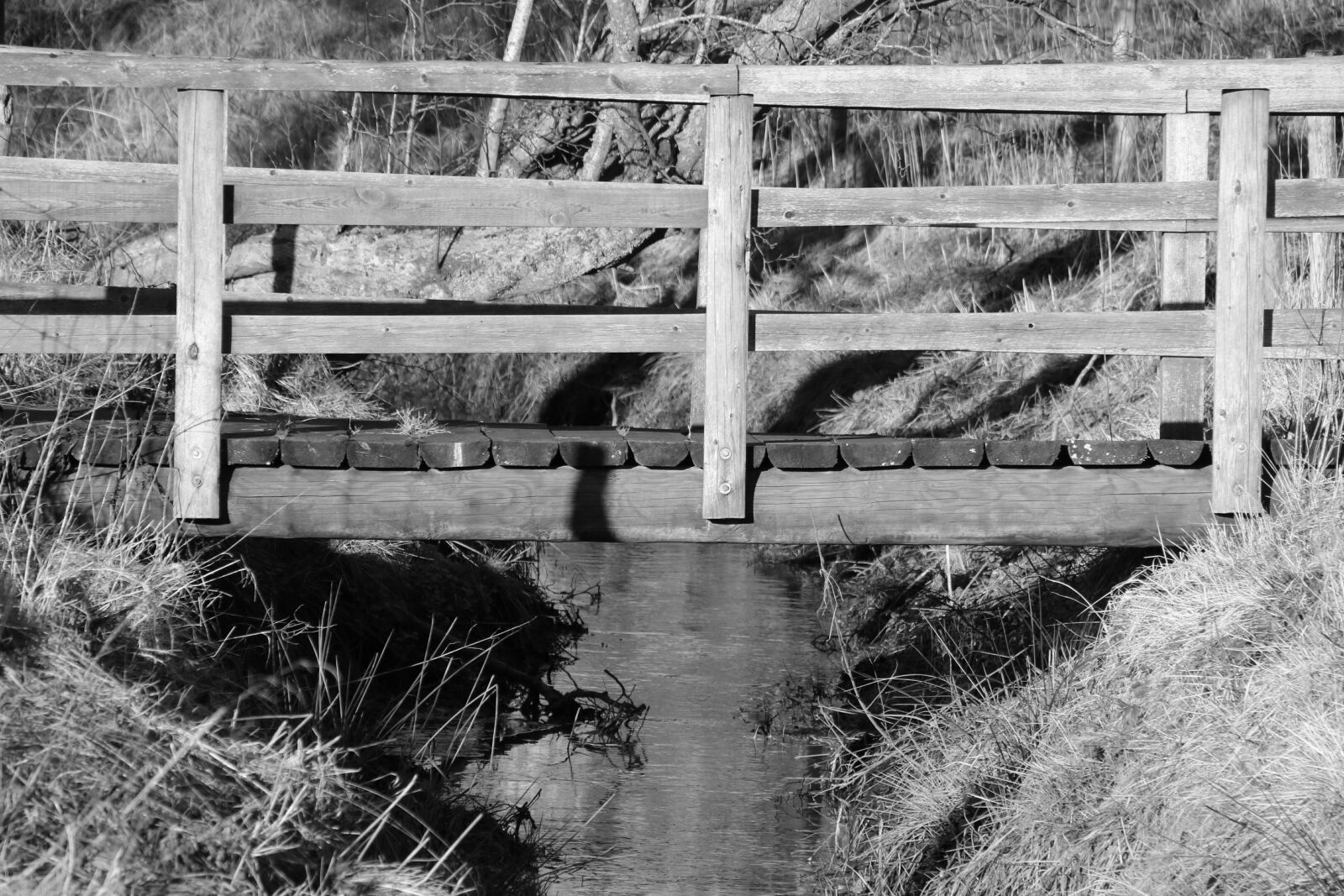 Canon EOS 7D Mark II sample photo. Bridge, water, old photography