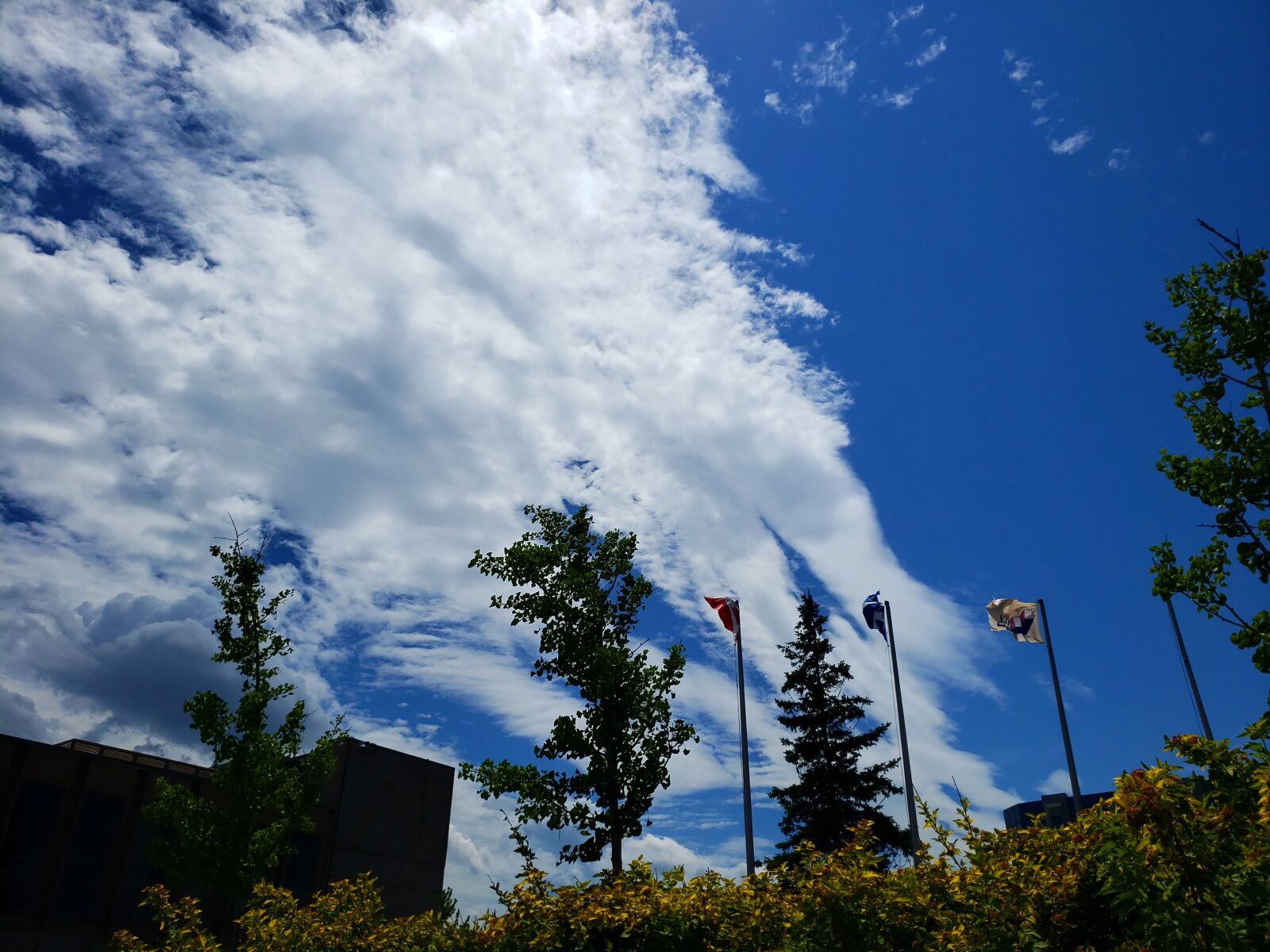 Samsung Galaxy S9+ sample photo. Sky, clouds, blue photography